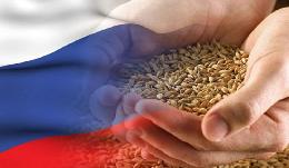 Экспорт российской продукции АПК в I полугодии вырос на 18%